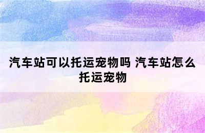 汽车站可以托运宠物吗 汽车站怎么托运宠物